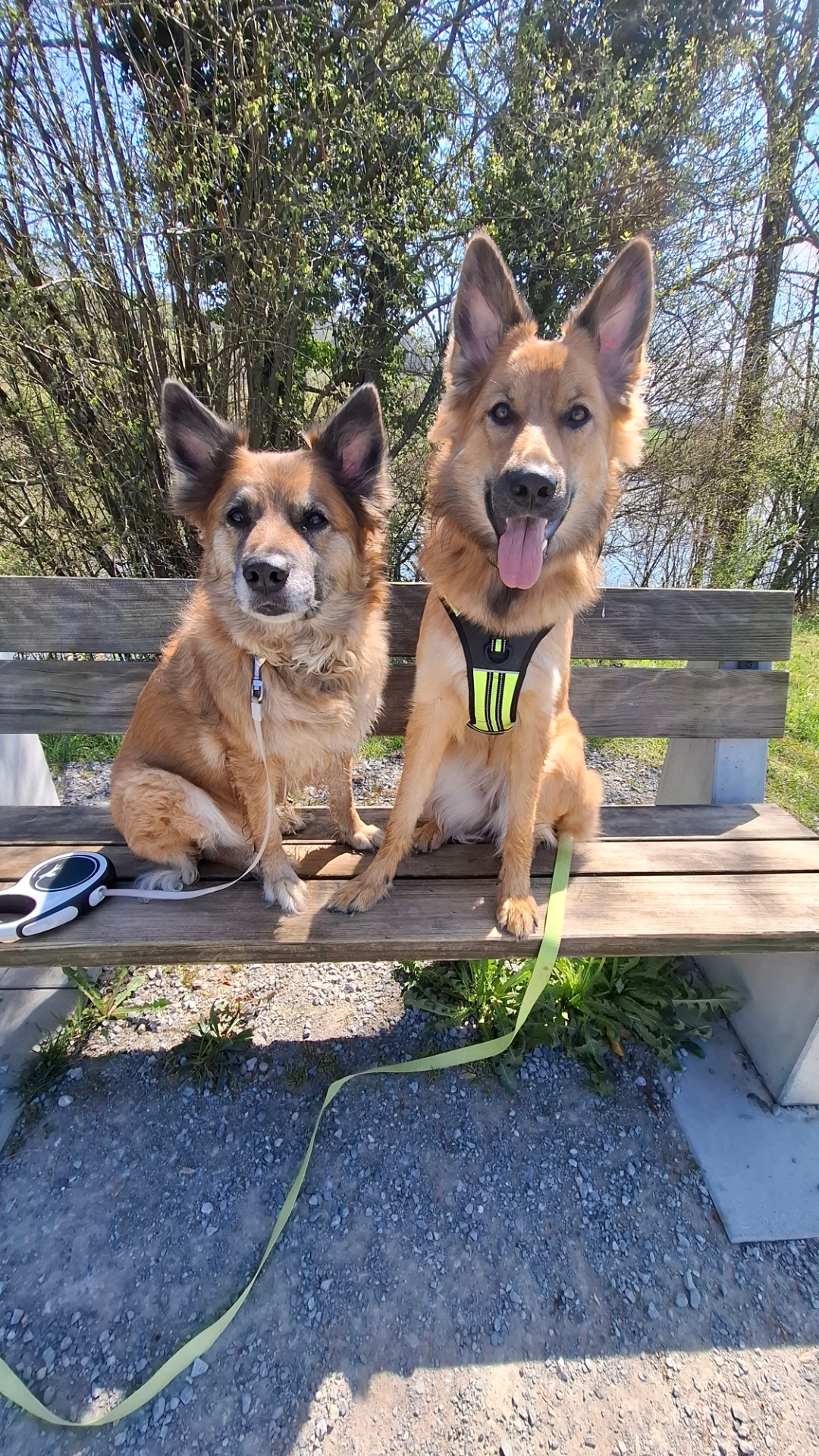 Zyra und Arya
